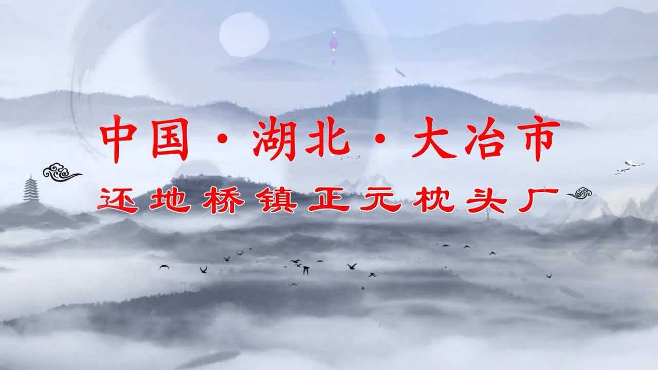 正元枕头厂厂区航拍